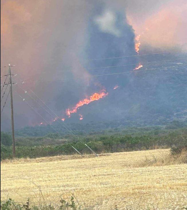 Fire Breaks Out in Kefalonia, Aerial Units Deployed