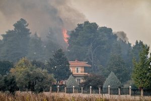 Cluster of Sudden Wildfires in SW Greece Triggers Arson Probe