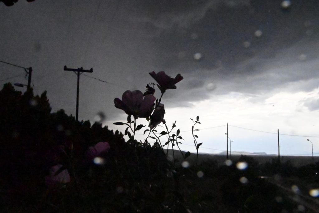 Storms, Heavy Rain Locally Forecast for Next Three Days