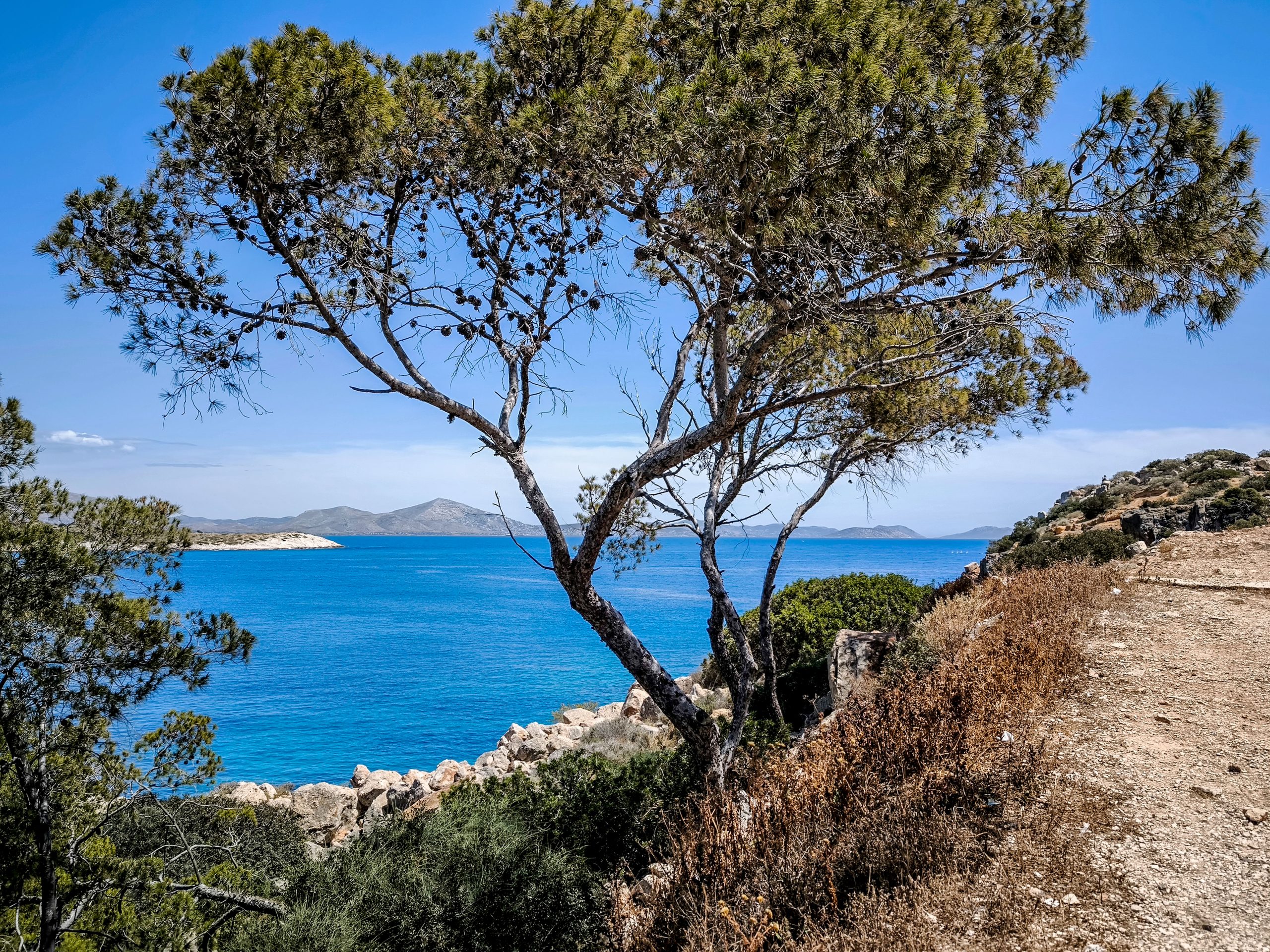 Wednesday’s Forecast: Sun-drenched and Summer-Ready