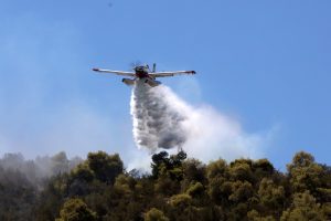 Fire Breaks Out in Kefalonia, Aerial Units Deployed